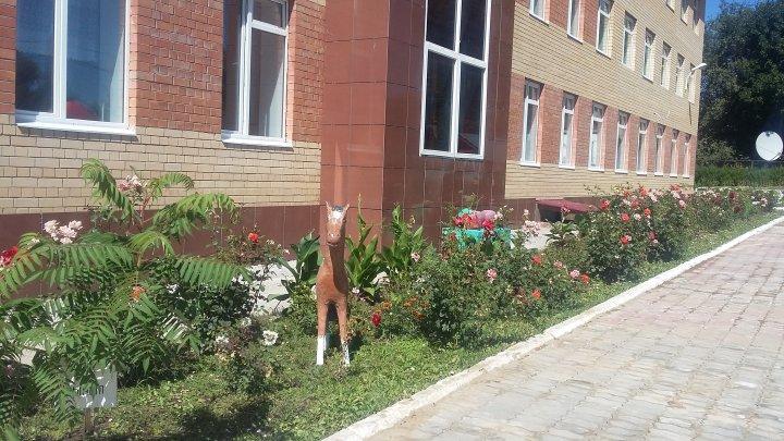 "Қаратұма орта мектебі және балабақша" КММ-сі